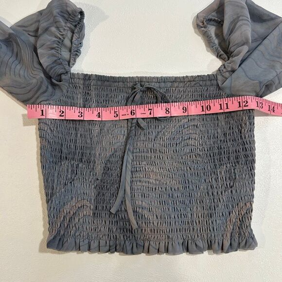 Wilfred Aritzia Sheer Gray Smocked Puff Sleeve Crop Top Size S Romantic Eveningw - Picture 4 of 6